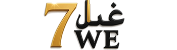 Meet 7We Global
